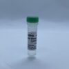 Single Worm Lysis Buffer