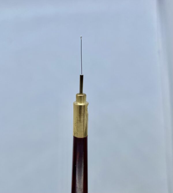 img_5201 Worm pick WP7